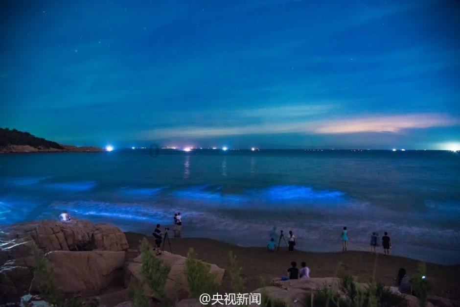 霍比特人救援