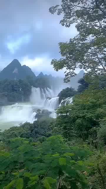 看门狗