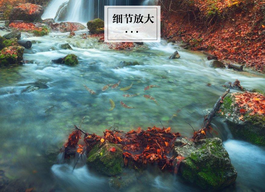 探索奇妙世界,畅聊生活-对于姐弟恋,你怎么看待?问答平台