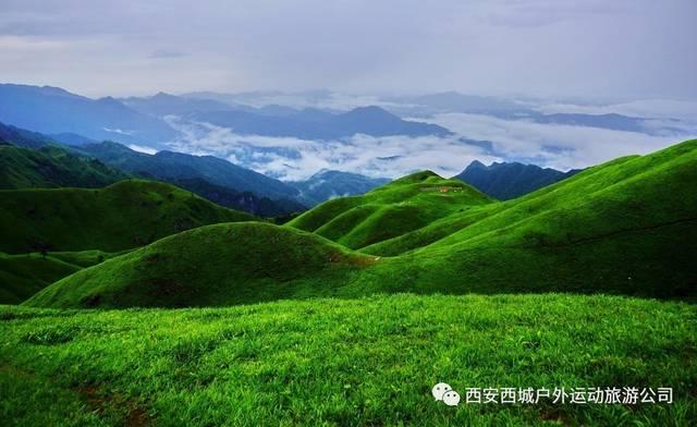 失踪的书籍